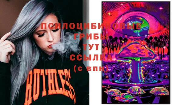 крисы Гусь-Хрустальный