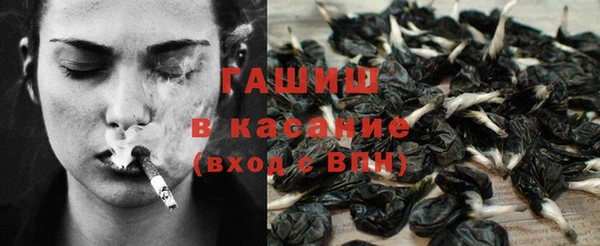 шишки Сосновый Бор
