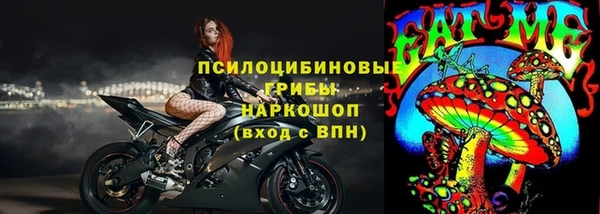 Альфа ПВП Дмитровск